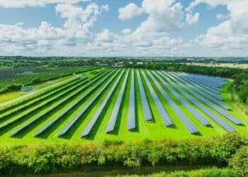UNEF presenta informe energía fotovoltaica motor industrialización necesario avance hacia electrificación