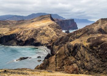 Confirmado introducir especies afecta dispersión de semillas islas extinciones