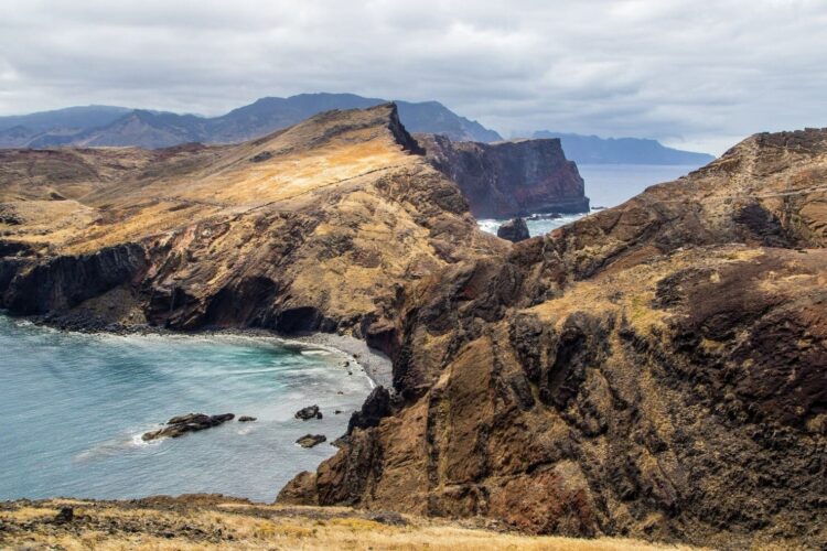 Confirmado introducir especies afecta dispersión de semillas islas extinciones