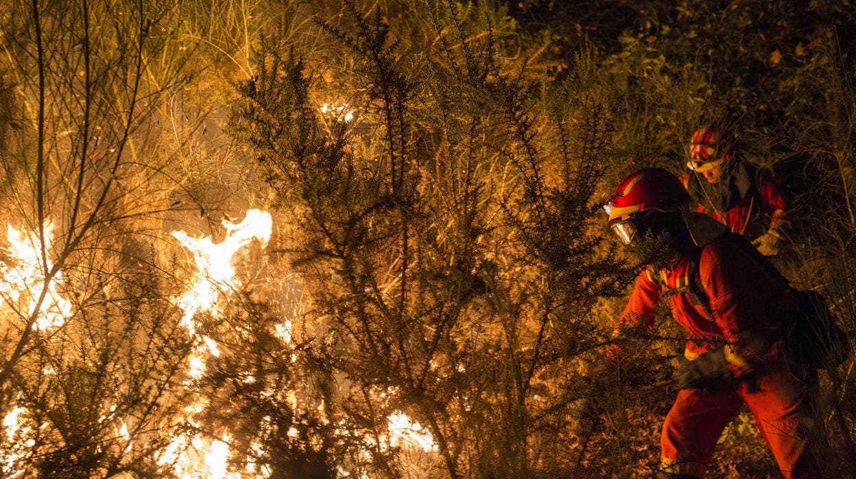 Galicia multiplicará presupuesto agilizar gestión biomasa prevenir incendios forestales