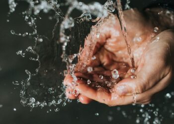 Día Interamericano Agua 2025