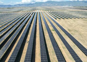 paneles solares