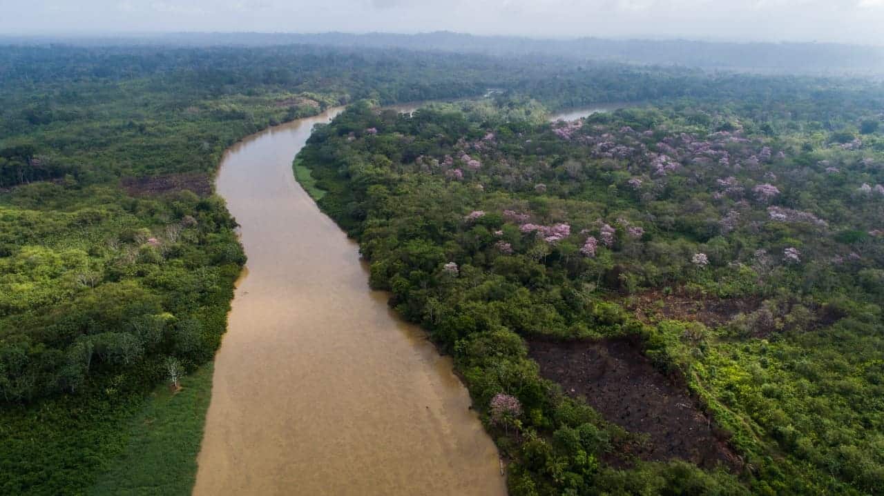 Panamá restaurará 10000 hectáreas ecosistemas naturales país