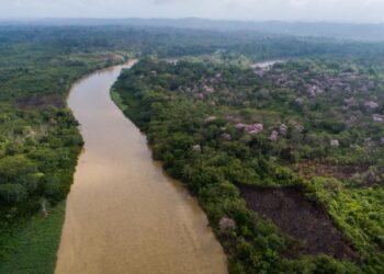 Panamá restaurará 10000 hectáreas ecosistemas naturales país