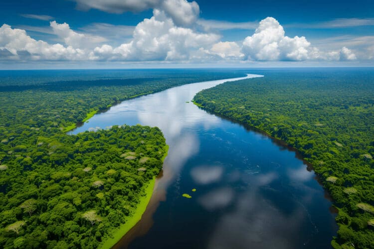 COP30 EE.UU. ausente lucha contra cambio climático sur global tendrá acelerar reducción emisiones