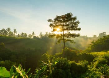 Día Mundial Protección Naturaleza 2025