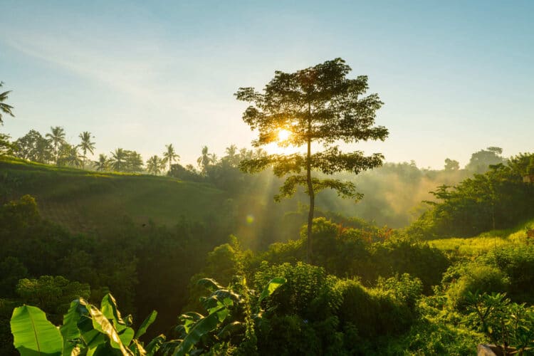 Día Mundial Protección Naturaleza 2025