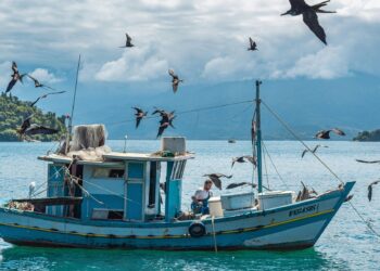 Congreso Conxemar 2025 Código Pesca Responsable debe actualizar