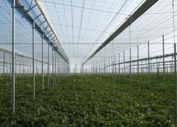 Aguas regeneradas abastecimiento uso agrícola Roquetas Mar Almería 