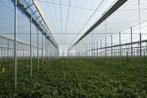 Aguas regeneradas abastecimiento uso agrícola Roquetas Mar Almería 