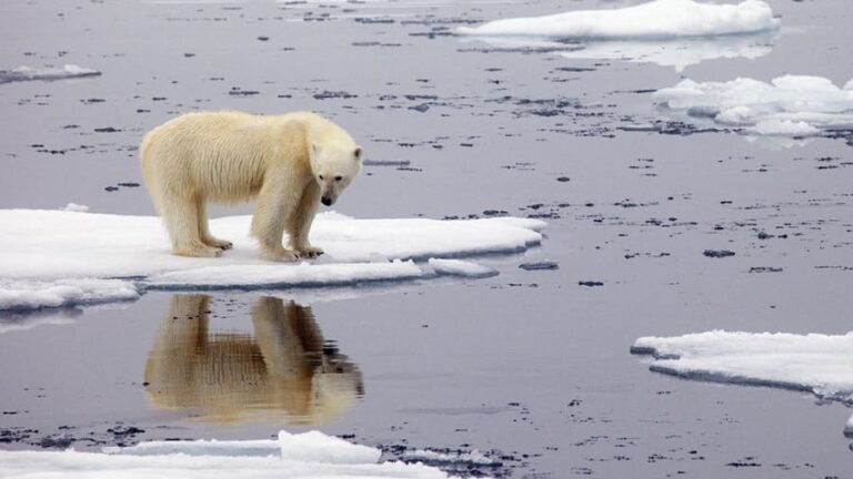 La OMM advierte que el límite de 1,5 °C será superado y urge a actuar para reducir el calentamiento global