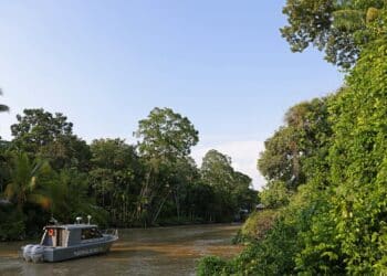 La huella humana en la Amazonía es tan profunda que ya cambia la historia evolutiva de sus bosques 4 Vista del Río Amazonas, la Amazonía y la huella humana