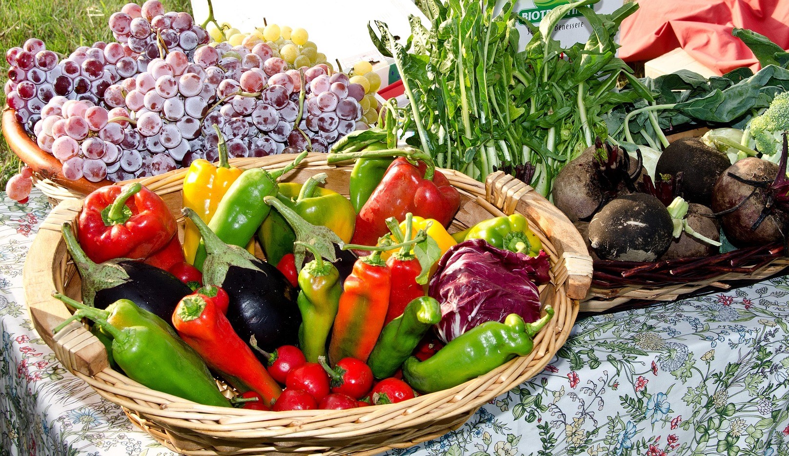 BioCultura Madrid 2025: a partir de este jueves día 6 recibirá a 50000 personas interesadas en ‘productos ecológicos’