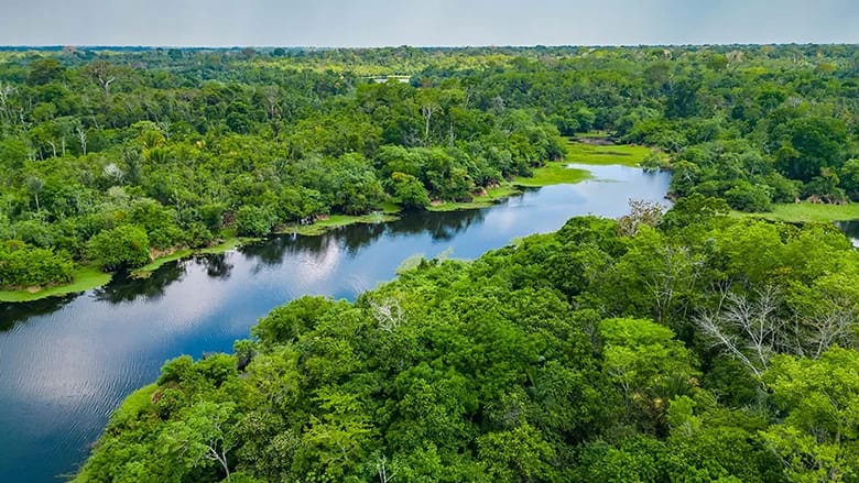 Brasil logra una reducción récord de emisiones contaminantes en 2024