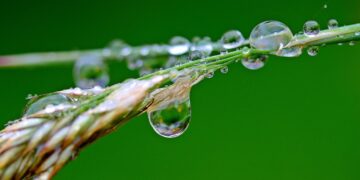 ecologistas defienden la Directiva Marco del Agua