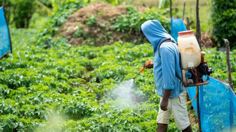 Agroquímicos y riesgos ambientales
