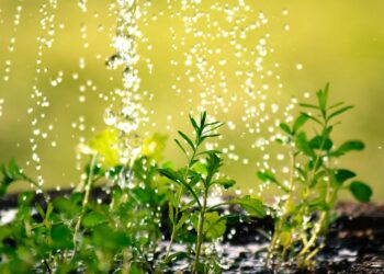 Modernización sostenible de la digitalización del regadío en España