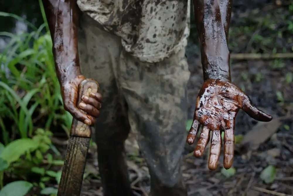 España es el principal importador del ‘insostenible’ gas nigeriano, un ‘demoledor’ informe pormenoriza la devastación del Delta del Níger