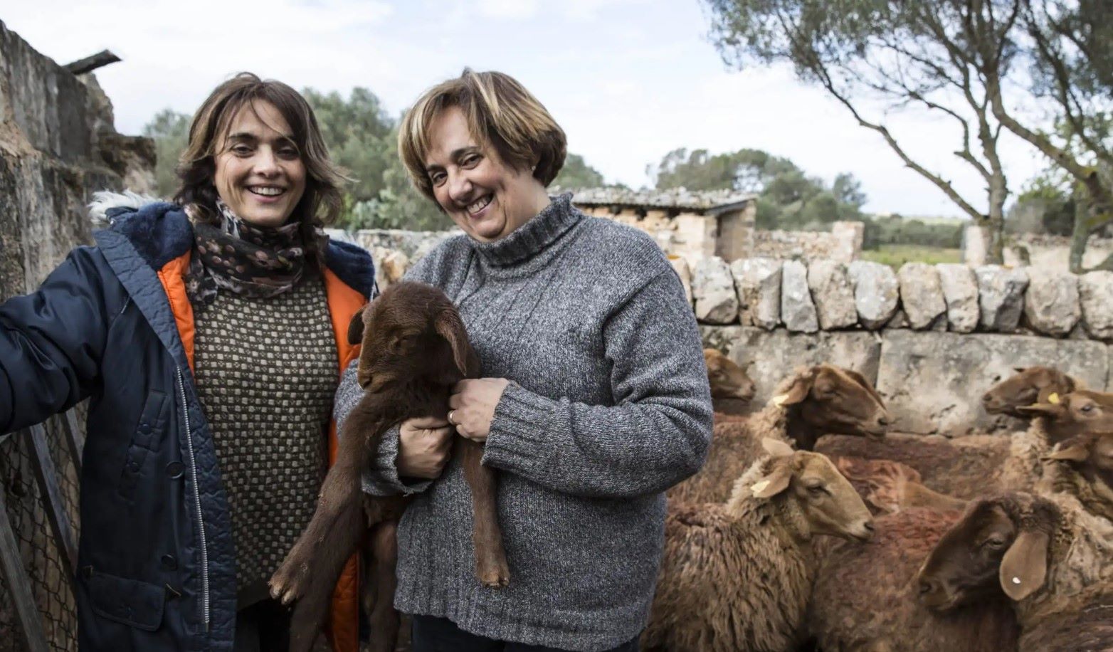 Ganaderos de ganadería regenerativa debaten sobre comercialización y normativa
