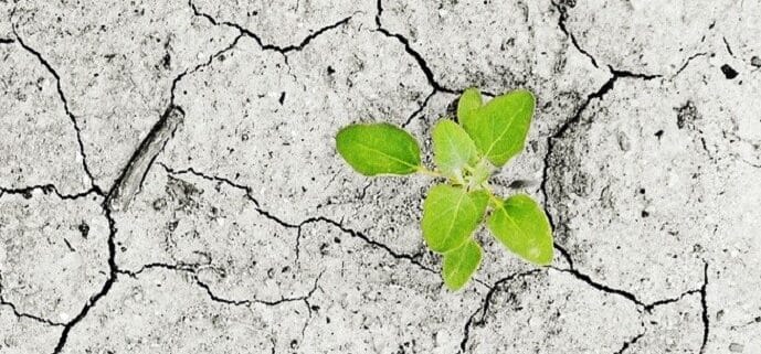 Los paises pobres necesitan medidas de adaptación y los ricos deben ocuparse de su financiación