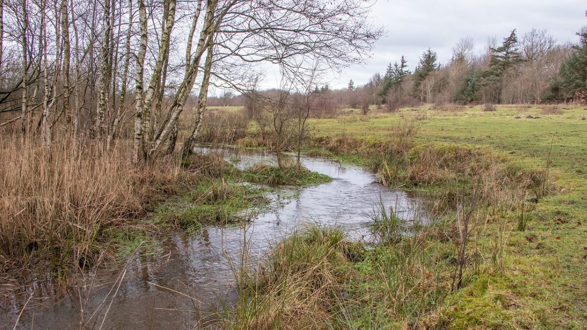 Medición de la salud de los ríos en Vitoria