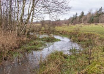 Medición de la salud de los ríos en Vitoria