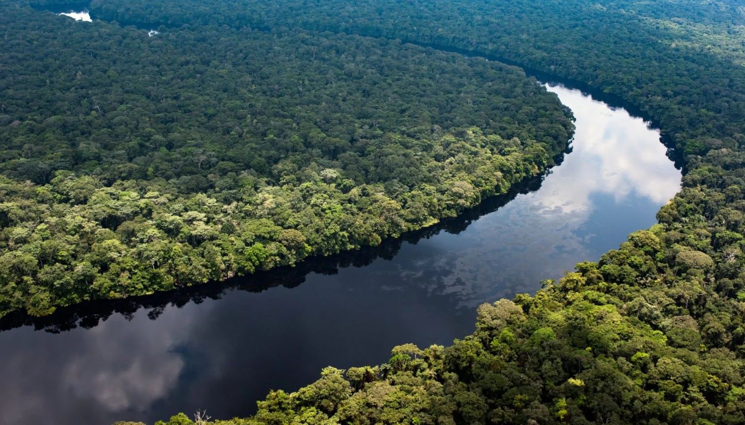 Vista aérea de la selva tropical en la cuenca del Congo, uno de los bosques más importantes del mundo para el clima y la biodiversidad
