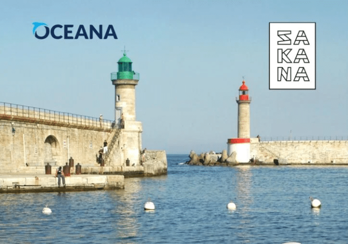 informe de Oceana sobre la pesca de arrastre en el Mediterráneo