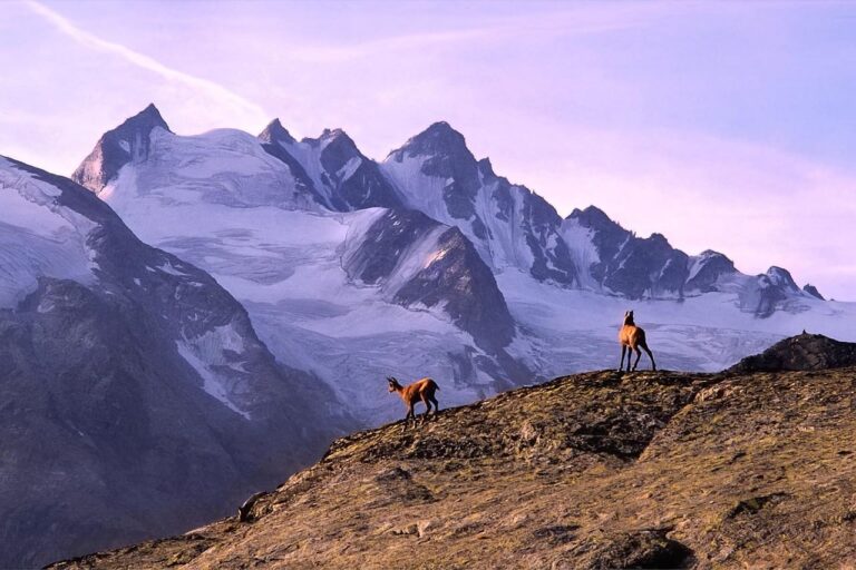 Imagen aérea de los glaciares chilenos en retroceso por el aumento de temperaturas y la prolongada megasequía