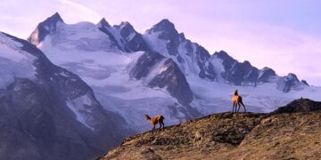 Imagen aérea de los glaciares chilenos en retroceso por el aumento de temperaturas y la prolongada megasequía