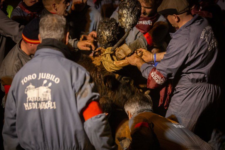 Activistas de PACMA protestan en Medinaceli contra el Toro Jubilo, denunciando maltrato animal extremo y pidiendo el fin de esta tradición