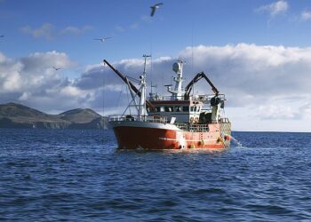 Pesca ilegal, Países Bajos y otros integrantes de la UE socavan el esfuerzo y compromiso de España
