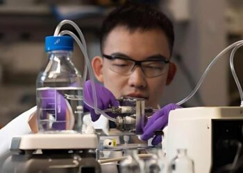 El descubrimiento que podría cambiar el futuro de la humanidad: Crean energía con el recurso que nadie quiere 3 futuro-energía