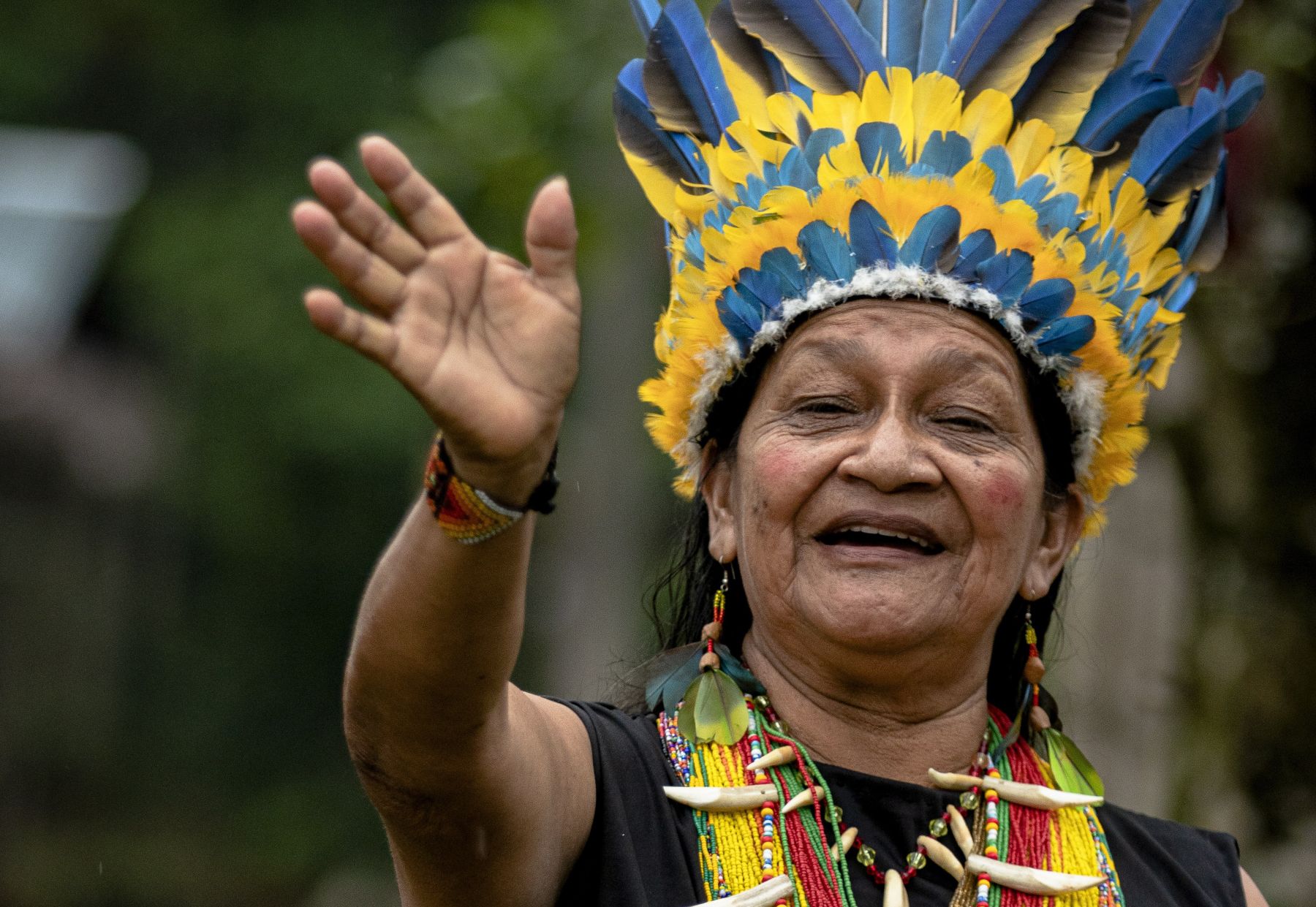 COP30: en defensa de los pueblos indígenas