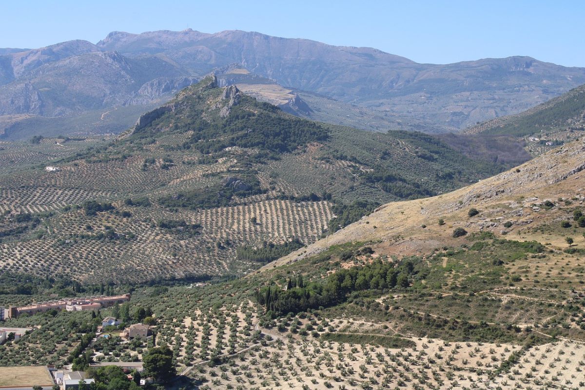 reconecta modelo gestion forestal sostenible colaborativa fundacion biodiversidad