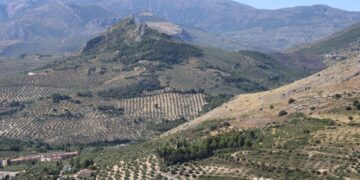 reconecta modelo gestion forestal sostenible colaborativa fundacion biodiversidad