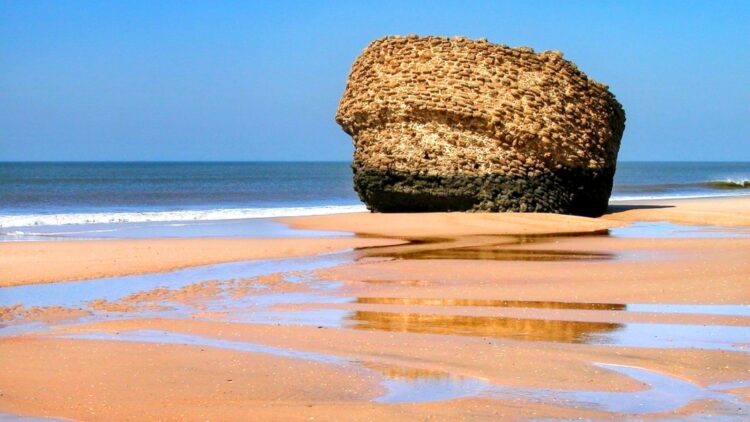 Obras de regeneración en la playa de Matalascañas, Doñana