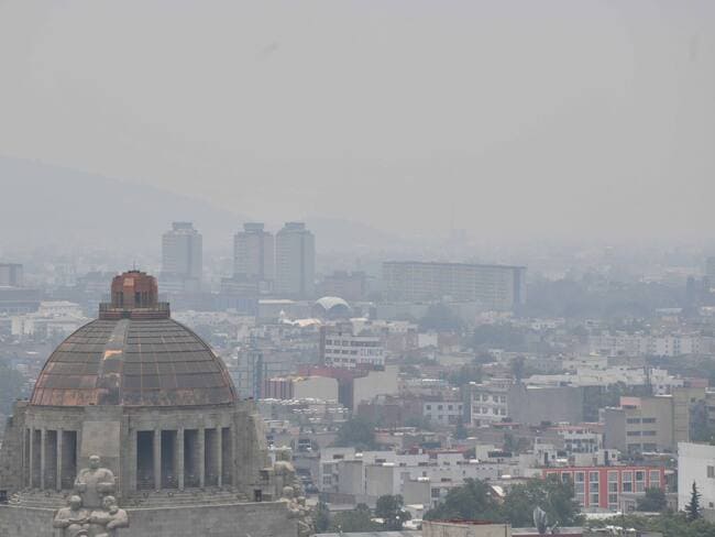 "Los contaminantes viajan cientos de kilómetros y cambian los bosques": el alarmante impacto del ozono y el nitrógeno según el CIEMAT