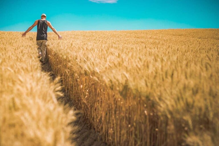 La agricultura de las Américas se reivindica como clave para alimentar al mundo de forma sostenible