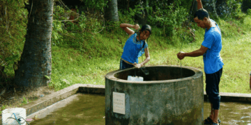 Menos arsénico en el agua, menos muertes: reducir el arsénico en aguas subterráneas recorta a la mitad las enfermedades crónicas
