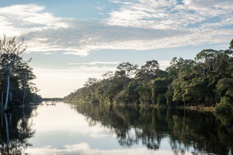La COP30 destapa el dato más brutal de la Amazonía: ganadería y soya están arrasando millones de hectáreas sin control