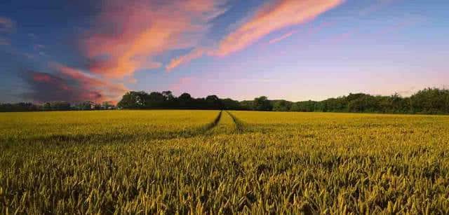 ONU destaca avances en planes climáticos de los países a una semana de la COP30