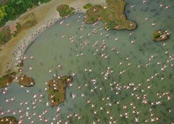 Doñana, en el punto de mira de la UNESCO y la UE