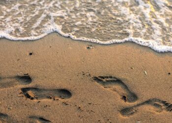 Ecologistas alertan de que el deterioro del océano pone en riesgo 7,7 billones de euros de la economía mundial 3 Ecologistas alertan de que el deterioro del océano pone en riesgo 7,7 billones de euros de la economía mundial