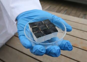 Las esponjas de la vida: Extraen del aire el recurso más escaso y valioso del planeta 2 esponjas de la vida