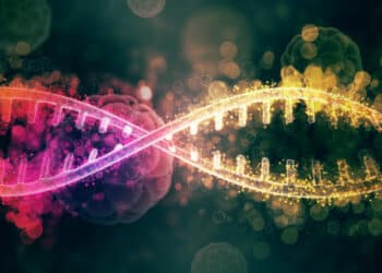 Una herramienta de inteligencia artificial predice funciones desconocidas de cualquier proteína 5 Una herramienta de inteligencia artificial predice funciones desconocidas de cualquier proteína