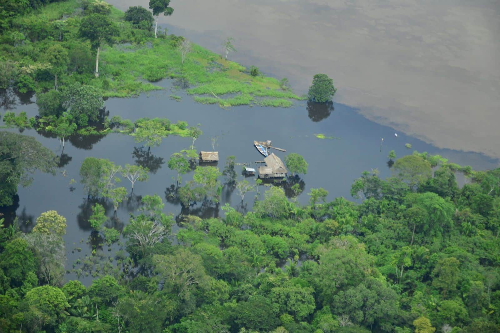 Los lagos del Amazonas alcanzaron hasta 41 °C durante la sequía de 2023, revela un estudio sobre el impacto del cambio climático