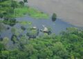 Los lagos del Amazonas alcanzaron hasta 41 °C durante la sequía de 2023, revela un estudio sobre el impacto del cambio climático