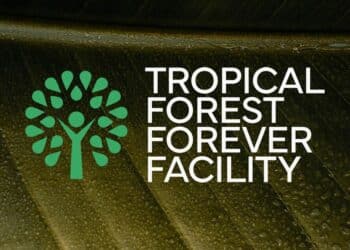 Lula lanza en la COP30 el Fondo de Bosques Tropicales por Siempre para financiar la conservación global de selvas 3 Lula lanza en la COP30 el Fondo de Bosques Tropicales por Siempre para financiar la conservación global de selvas
