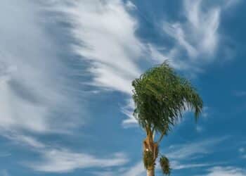 El tiempo que hará en España, y por CCAA, este 13 de noviembre